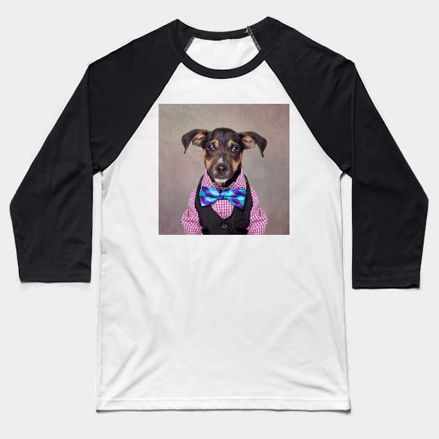 Shelter Pets Project - Hitch Baseball T-Shirt by TammySwarek